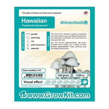 Kit de Culture Hawaiian Champignon Magique