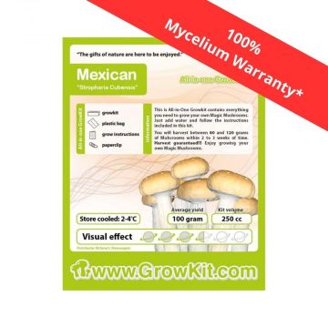 Mexican Magic Mushroom Growkit