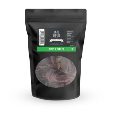 Indian Spirit Red Lotus