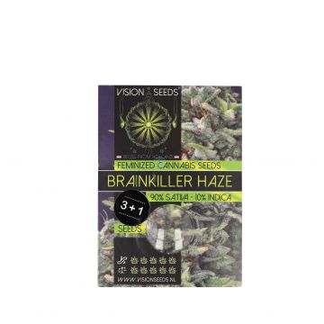 Vision Seeds Feminized Brainkiller Haze