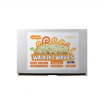 Waikiki Waves Growkit