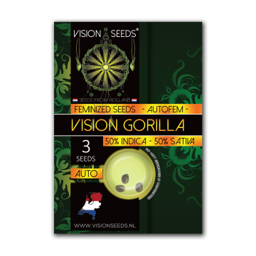 Vision Seeds Auto Vision Gorilla