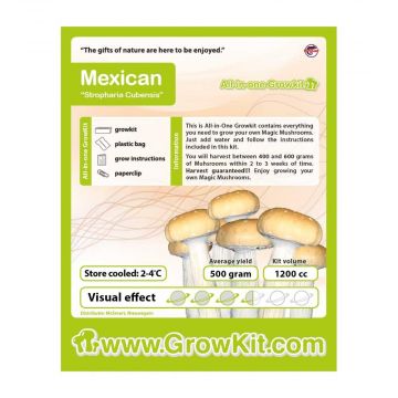 Mexican Magic Mushroom Growkit