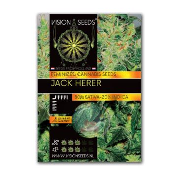 Vision Seeds Femenized Jack Herer