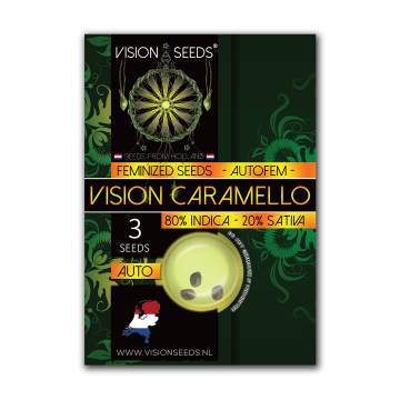 Vision Seeds Auto Caramello