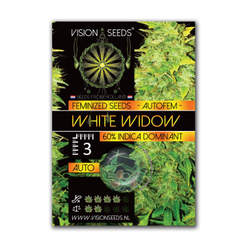 Vision Seeds Auto White Widow