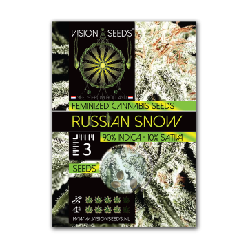 Vision Seeds Feminized Russian Snow