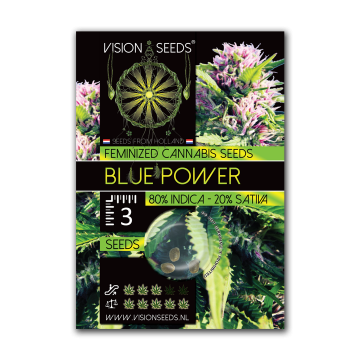 Vision Seeds Feminized Blue Power