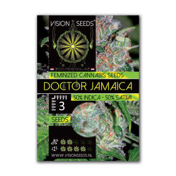 Vision Seeds Feminized Doctor Jamaica