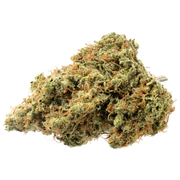 Chronic & Caviar Strawberry Glue Feminized Chronic & Caviar Strawberry Glue Feminized