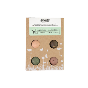 Blossombs Gift Box Small