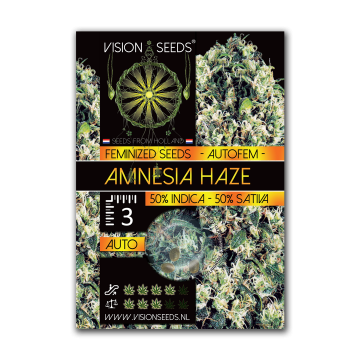 Vision Seeds Auto Amnesia Haze