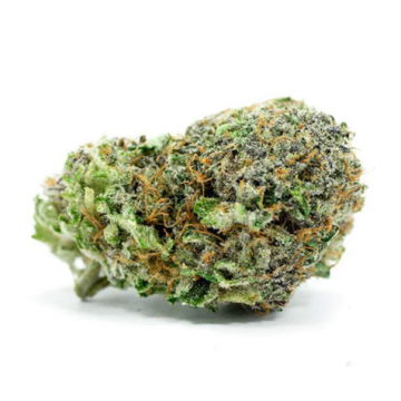 Chronic & Caviar Green Crack Gorilla Feminized