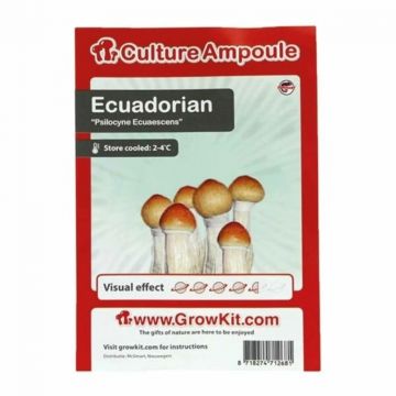 Ecuadorian Culture Ampoule