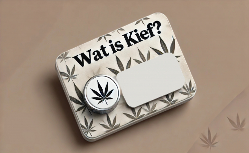 Wat is kief en wat kan je er mee doen?